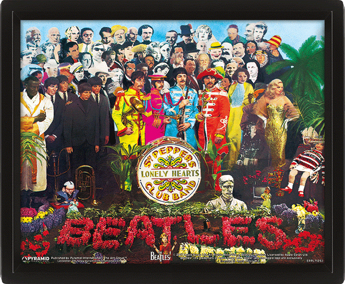 The Beatles (Sgt. Pepper) (pat-103322) Картина (3д)