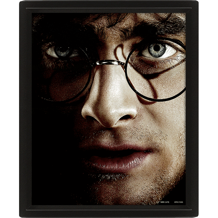 Гаррі Поттер (Гаррі Проти Волдеморта) / Harry Potter (Harry VS Voldemort) (pat-104240) Картина (3д)