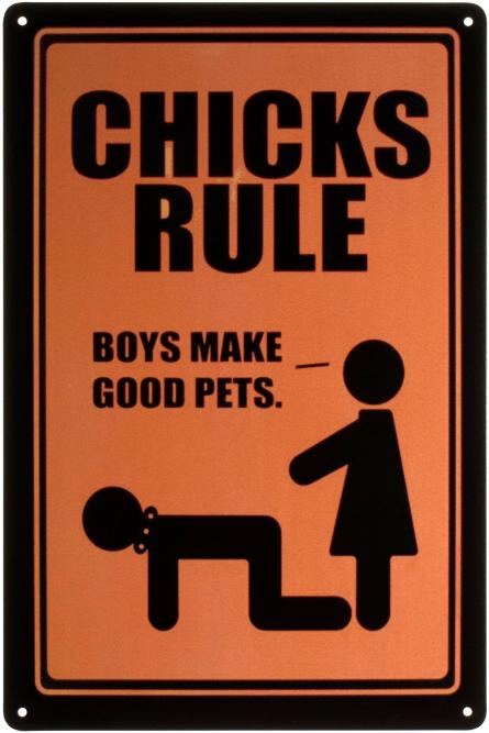 Правила Чикс / Chicks Rule (ms-001412) Металева табличка - 20x30см