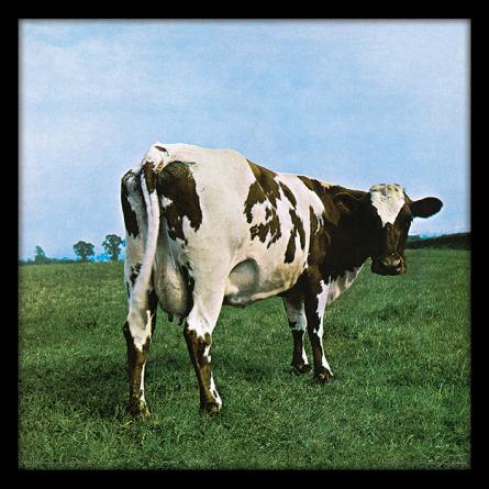 Pink Floyd (Atom Heart Mother) (pat-103348) Картина (у рамі)