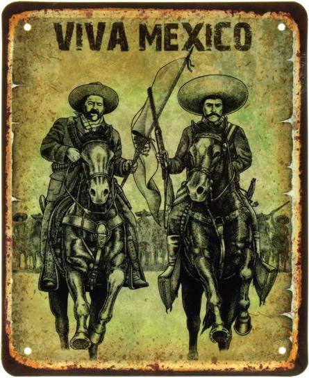 Viva Mexico (ms-103562) Металлическая табличка - 18x22см