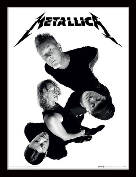 Metallica (Twisted Band) (pat-103342) Картина (у рамі)