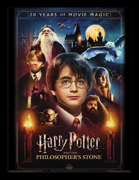 Гарри Поттер (20 Лет Магии Кино) / Harry Potter (20 Years of Movie Magic) (pat-103324) Картина (в раме)