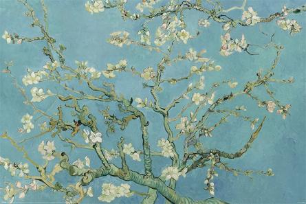 Ван Гог (Цветущие Ветки Миндаля) / Van Gogh (Almond Blossom San Ramy 1890) (ps-001781) Постер/Плакат - Стандартный (61x91.5см)