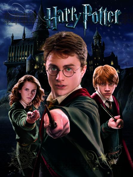 Гаррі Поттер (Гаррі, Рон, Герміона) / Harry Potter (Harry Ron Hermione) (pat-103276) Картина (полотно)