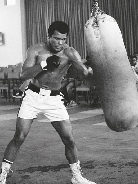 Мухаммед Али (Боксерская Груша) / Muhammad Ali (Punch Bag) (pat-103274) Картина (холст)