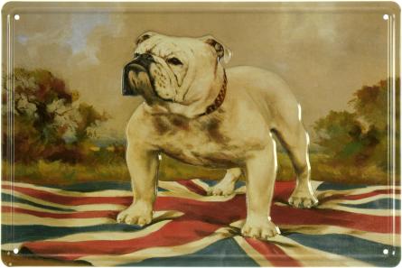Англійський Бульдог / English Bulldog (ms-001813) Металева табличка - 20x30см