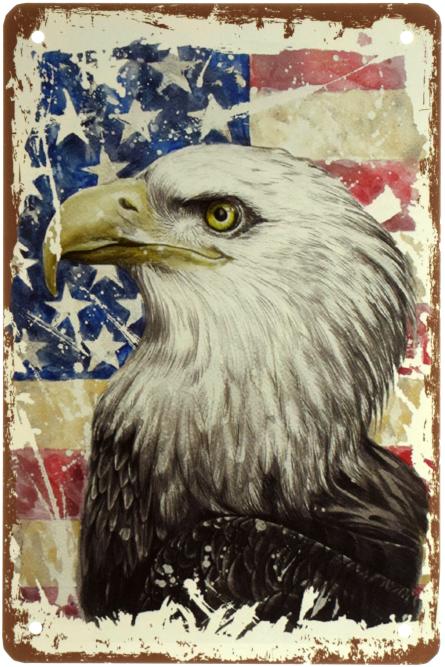 Білоголовий Орлан / Bald Eagle (USA) (ms-003052) Металева табличка - 20x30см