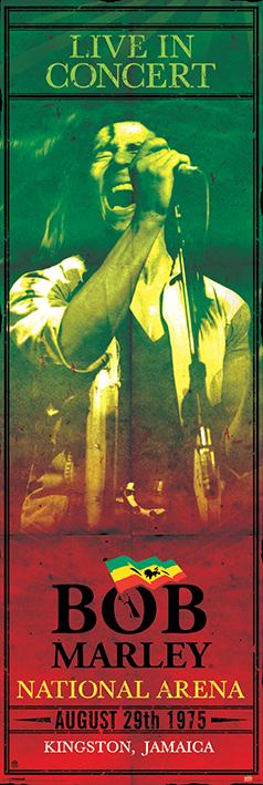 Боб Марли (Концерт) / Bob Marley (Concert) (ps-001491) Постер/Плакат - Дверной (53x158см)