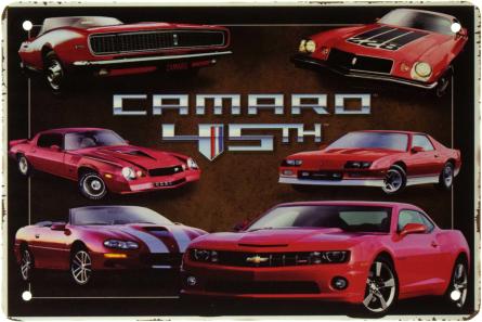 Chevrolet Camaro List (ms-002459) Металлическая табличка - 20x30см