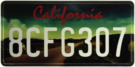 Каліфорнія / California 8CFG307 (ms-103739) Металева табличка - 15x30см