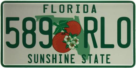 Флорида / Florida 589 RLO (ms-103740) Металлическая табличка - 15x30см