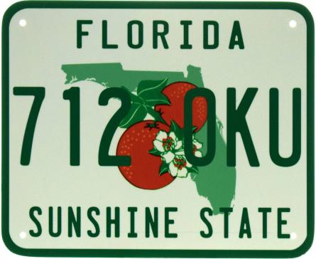 Флорида / Florida 712 OKU Sunshine State (ms-103666) Металлическая табличка - 18x22см