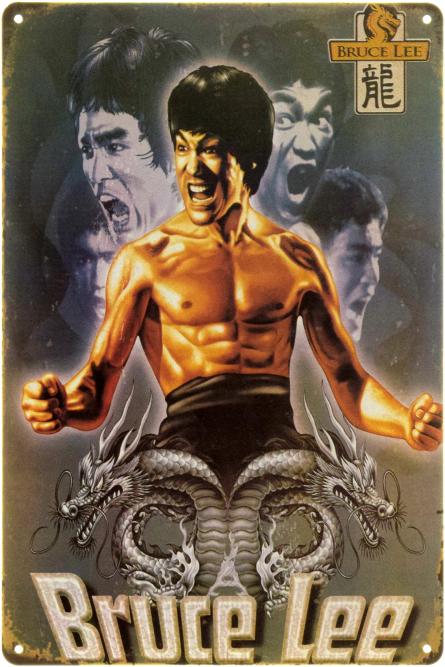 Bruce Lee (ms-104484) Металлическая табличка - 20x30см