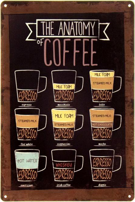 Анатомия Кофе / The Anatomy Of Coffee (ms-003147) Металлическая табличка - 20x30см