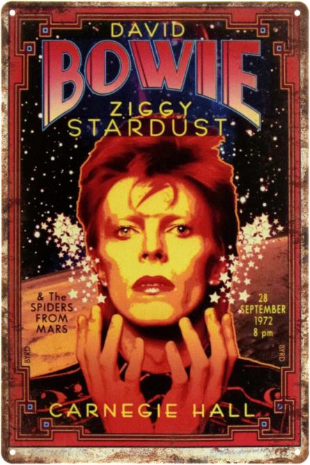 Дэвид Боуи / David Bowie - Ziggy Stardust (Carnegie Hall) (ms-002270) Металлическая табличка - 20x30см