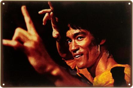 Брюс Ли (Сила И Выносливость) / Bruce Lee (ms-104591) Металлическая табличка - 20x30см