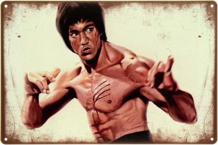 Bruce Lee (ms-104574) Металлическая табличка - 20x30см