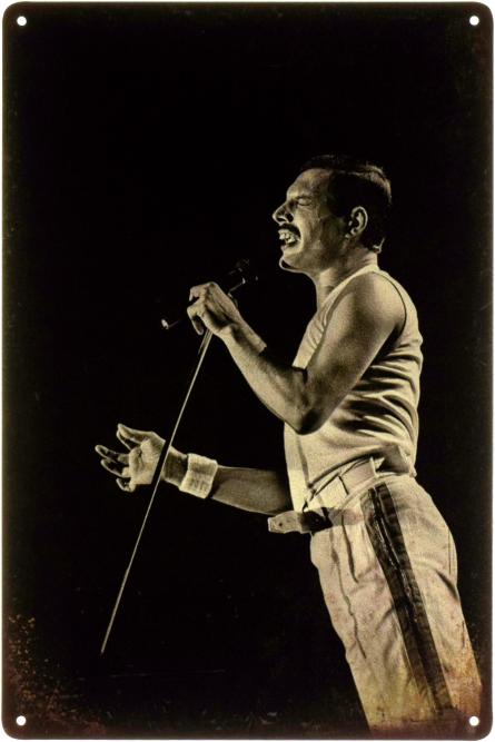 Фредді Мерк'юрі / Freddie Mercury (Queen) (ms-103391) Металева табличка - 20x30см