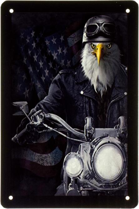 Орел На Мотоцикле / Eagle On Motorcycle (ms-103402) Металлическая табличка - 20x30см