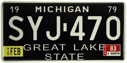Мичиган / Michigan SYJ 470 (ms-103703) Металлическая табличка - 15x30см