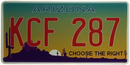 Арізона / Arizona KCF 287 (ms-103718) Металева табличка - 15x30см