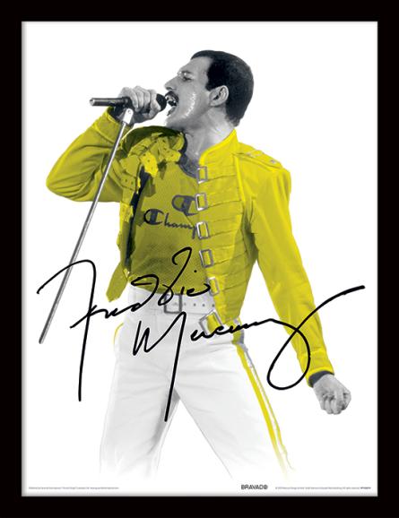 Фредди Меркьюри (Желтый Пиджак) / Freddie Mercury (Yellow Jacket) (pat-002798) Картина (в раме)