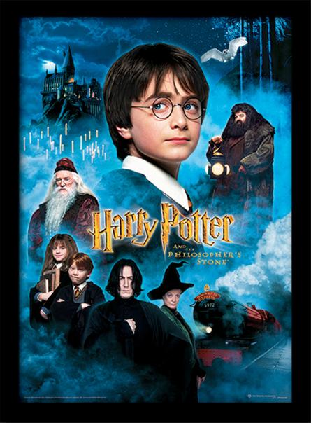 Гаррі Поттер (Філософський Камінь) / Harry Potter (Philosophers Stone) (pat-002804) Картина (у рамі)