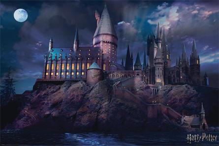 Гарри Поттер (Хогвартс) / Harry Potter (Hogwarts) (ps-001477) Постер/Плакат - Стандартный (61x91.5см)