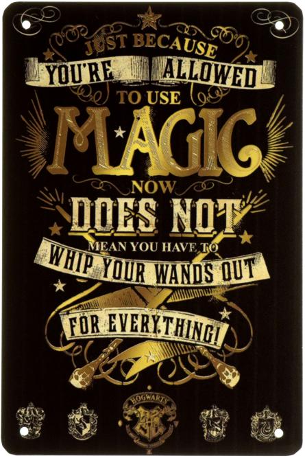 Гарри Поттер (Магия) / Harry Potter (Magic) (ms-003073) Металлическая табличка - 20x30см