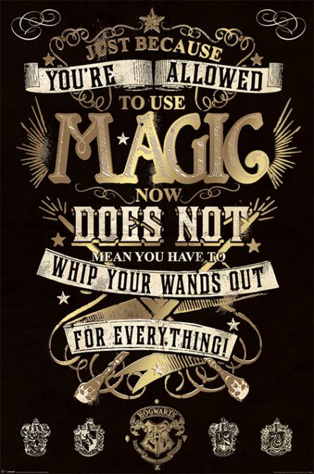 Гарри Поттер (Магия) / Harry Potter (Magic) (ps-002120) Постер/Плакат - Стандартный (61x91.5см)