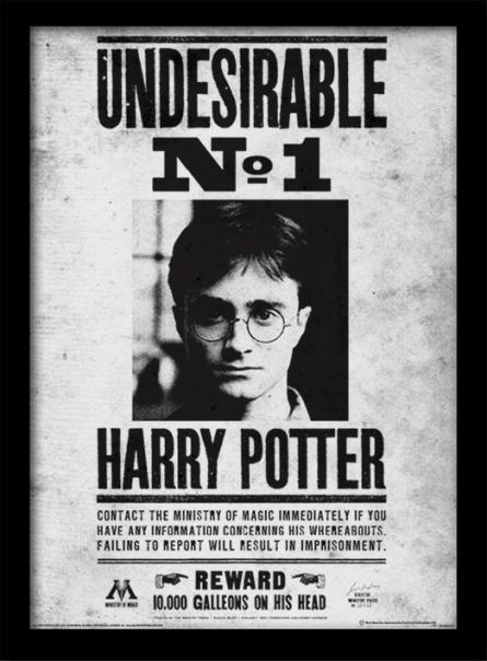 Гаррі Поттер (Небажаний No1) / Harry Potter (Undesirable No1) (pat-002805) Картина (у рамі)