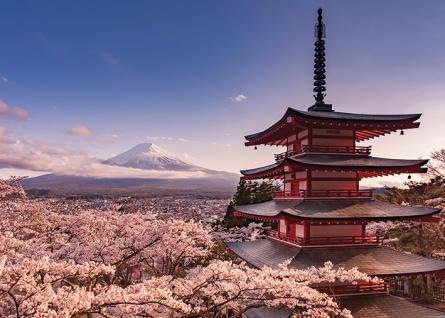 Гора Фудзи Блоссом / Mount Fuji Blossom (ps-001481) Постер/Плакат - Мега (100x140см)