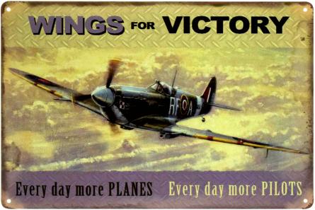 Крила Для Перемоги / Wings For Victory (ms-003182) Металева табличка - 20x30см
