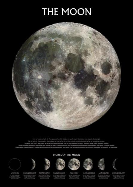 Луна (Фазы) / The Moon (Phases) (ps-0052) Постер/Плакат - Стандартный (61x91.5см)
