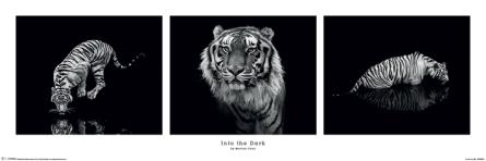 Марина Кано (В Темноте) / Marina Cano (Into the Dark) (ps-002570) Постер/Плакат - Узкий (30x91.5см)