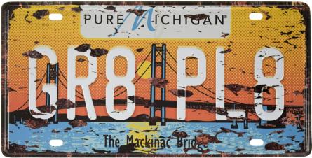 Мічиган / Michigan (GR8 PL8) (ms-001553) Металева табличка - 15x30см