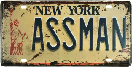 Нью-Йорк / New York (Assman) (ms-001145) Металлическая табличка - 15x30см
