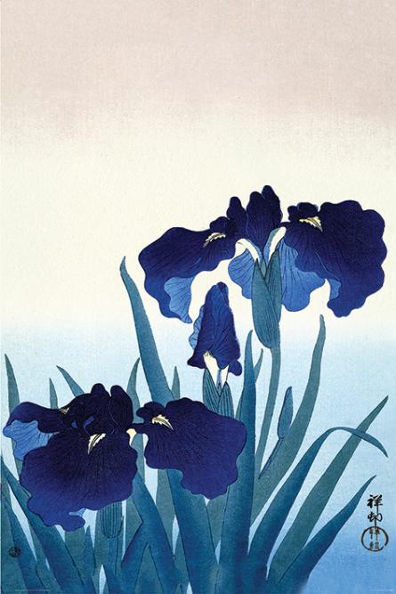 Охара Косон (Цветы Ириса) / Ohara Koson (Iris Flowers) (ps-002774) Постер/Плакат - Стандартный (61x91.5см)