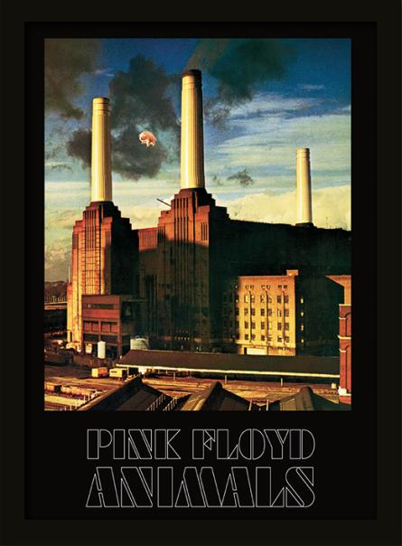 Pink Floyd (Animals) (pat-002807) Картина (у рамі)