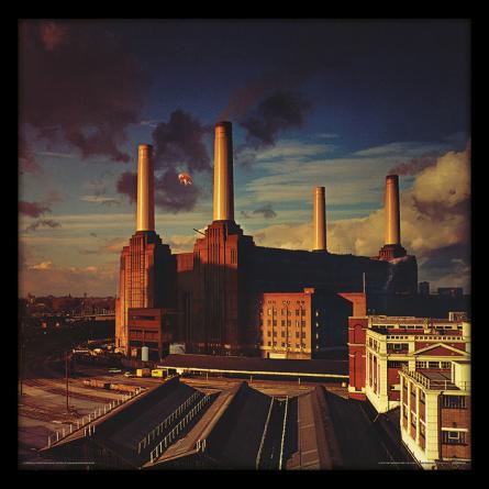 Pink Floyd (Animals) (pat-002813) Картина (в раме)