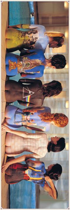 Pink Floyd (Back Catalogue) (ps-001496) Постер/Плакат - Дверний (53x158см)