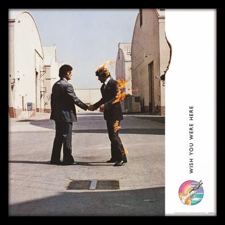 Pink Floyd (Wish You Were Here) (pat-002814) Картина (у рамі)