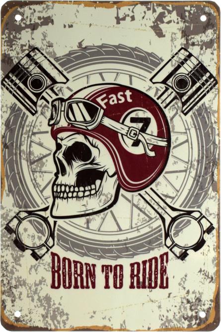 Народжений Їздити / Born To Ride (Fast) (ms-003152) Металева табличка - 20x30см