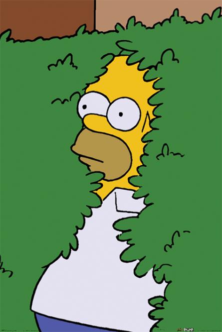 Сімпсони (Гомер В Кущах) / The Simpsons (Homer Bush) (ps-001746) Постер/Плакат - Стандартний (61x91.5см)