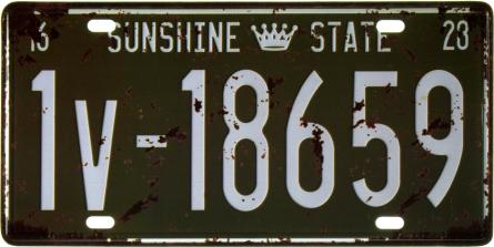 Сонячний Штат (Флорида) / Sunshine State (1v - 18659) (ms-001558) Металева табличка - 15x30см