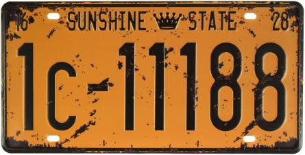 Сонячний Штат / Sunshine State (1с - 11188) (ms-001207) Металева табличка - 15x30см