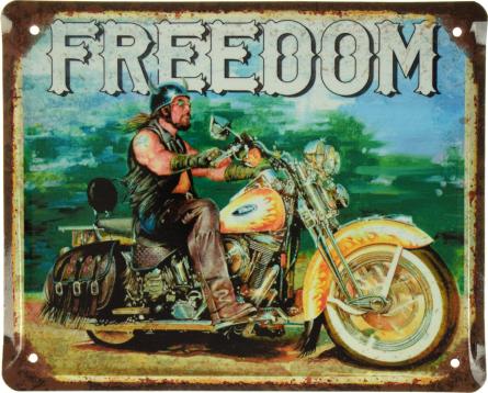 Свобода / Freedom (ms-001580) Металлическая табличка - 18x22см