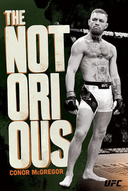UFC: Конор Мак-Грегор / UFC: Conor McGregor (Stance) (ps-00258) Постер/Плакат - Стандартний (61x91.5см)