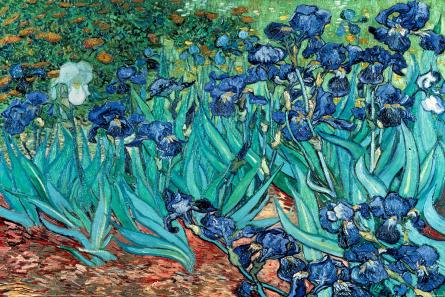 Ван Гог (Іриси) / Van Gogh (Les Irises) (ps-002765) Постер/Плакат - Стандартний (61x91.5см)
